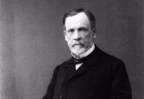 Louis Pasteur -'vị ân nhân của nhân loại' ảnh 1