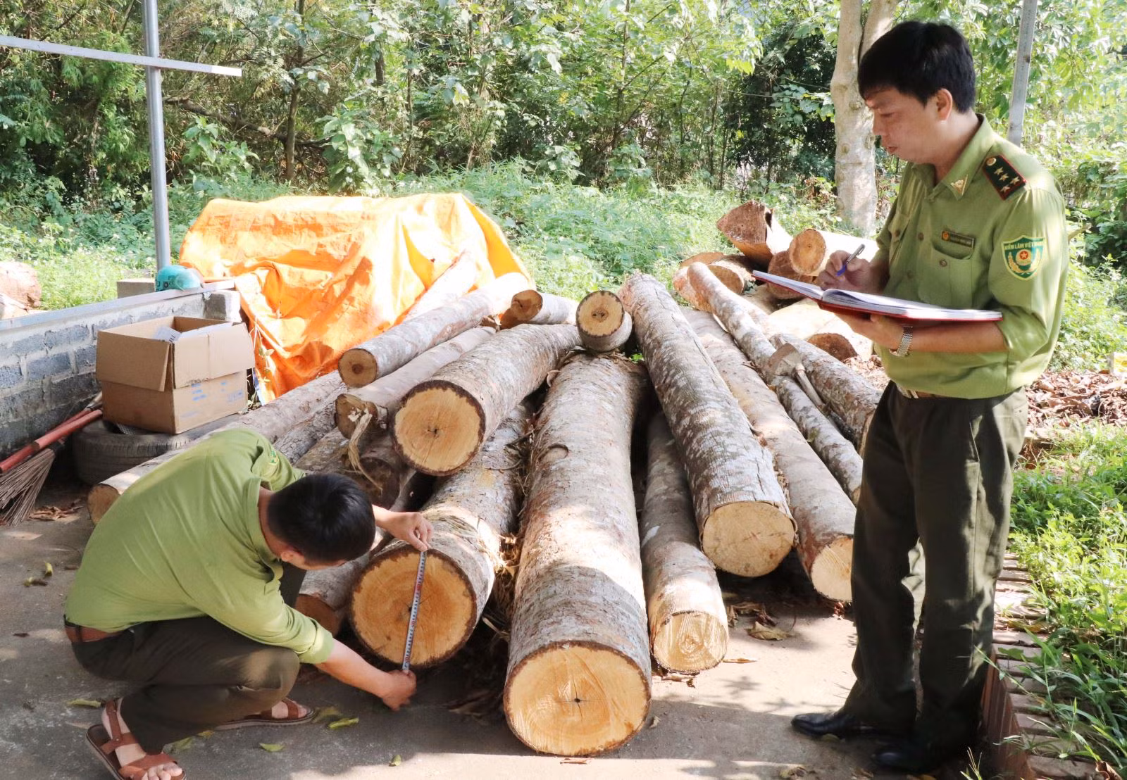 Chú thích ảnh