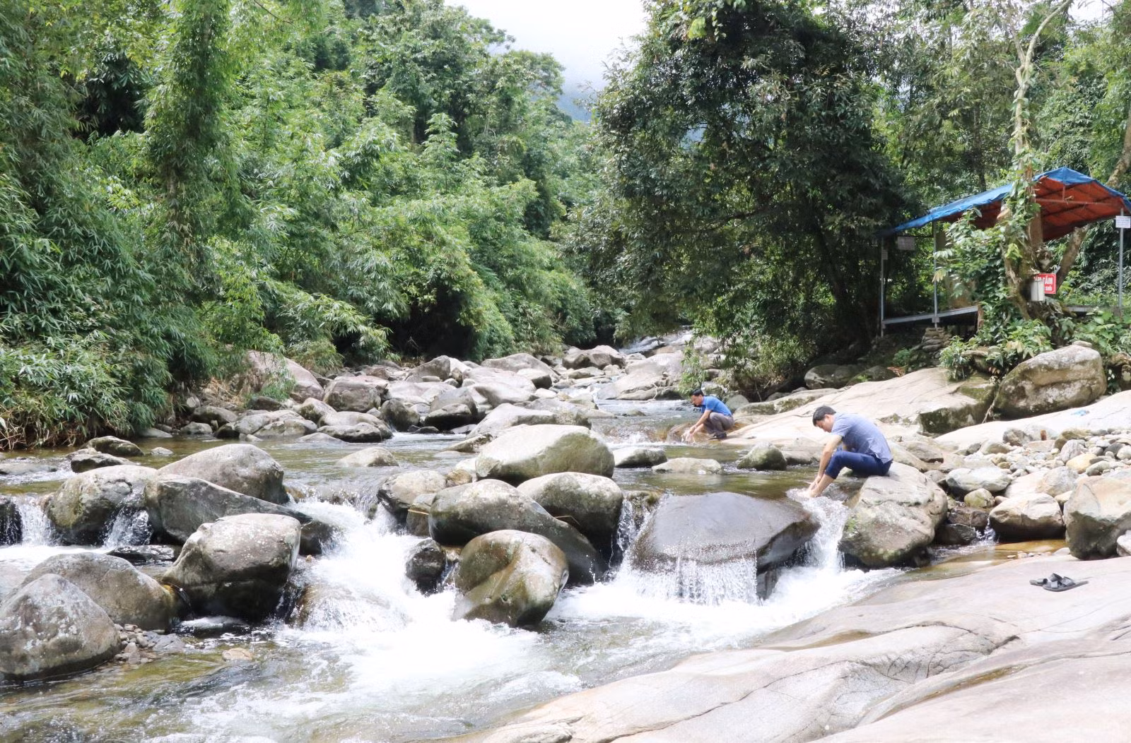Chú thích ảnh