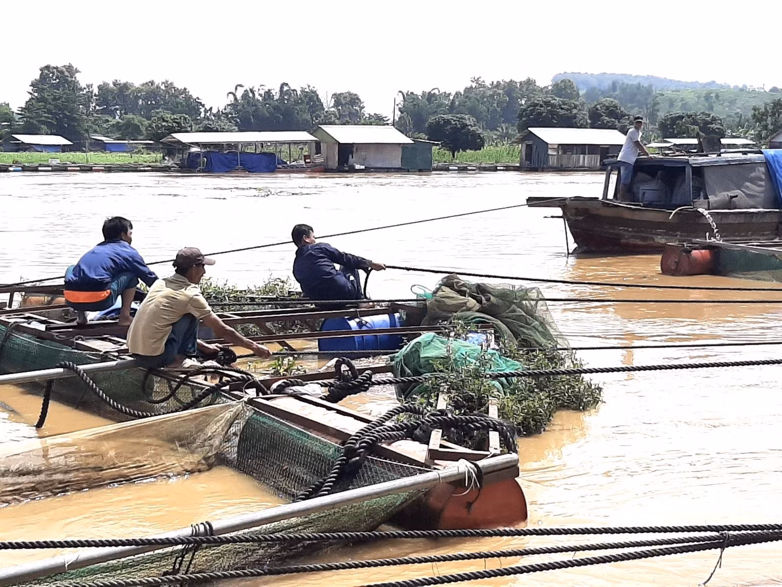 Chú thích ảnh