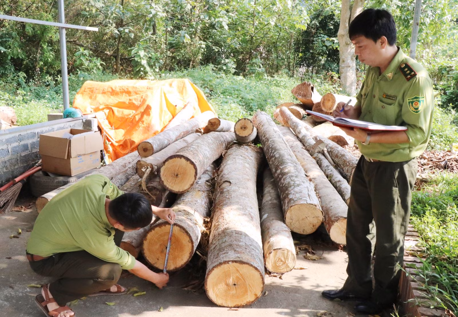 Chú thích ảnh