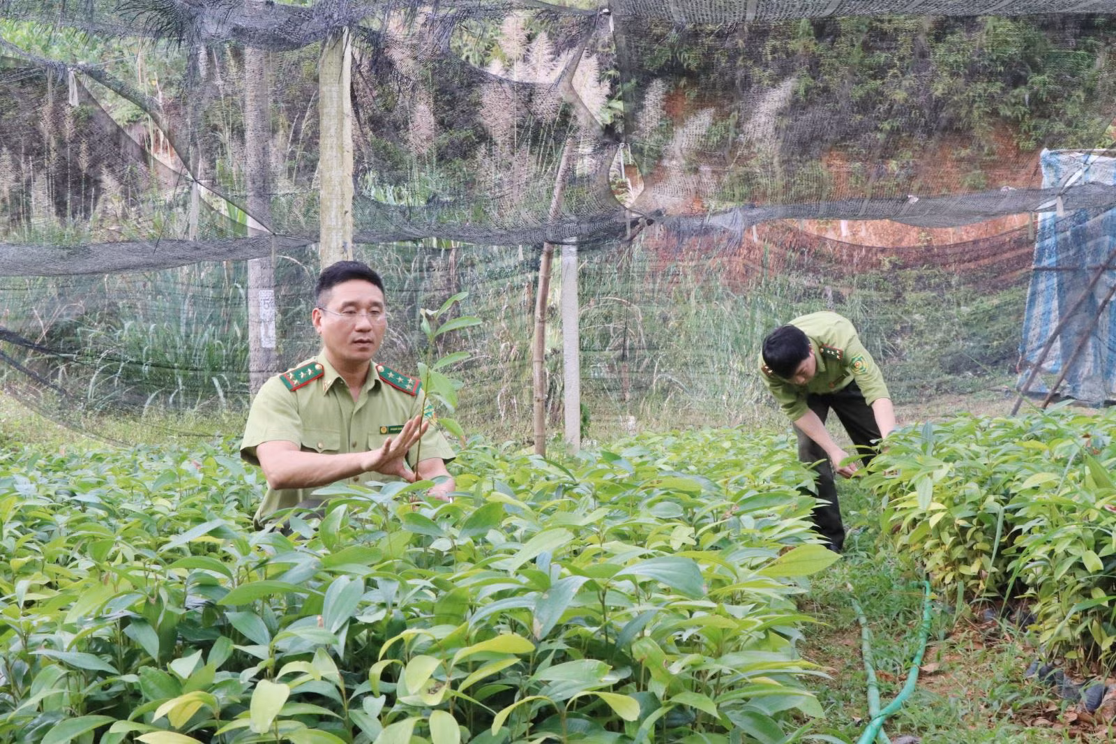 Chú thích ảnh