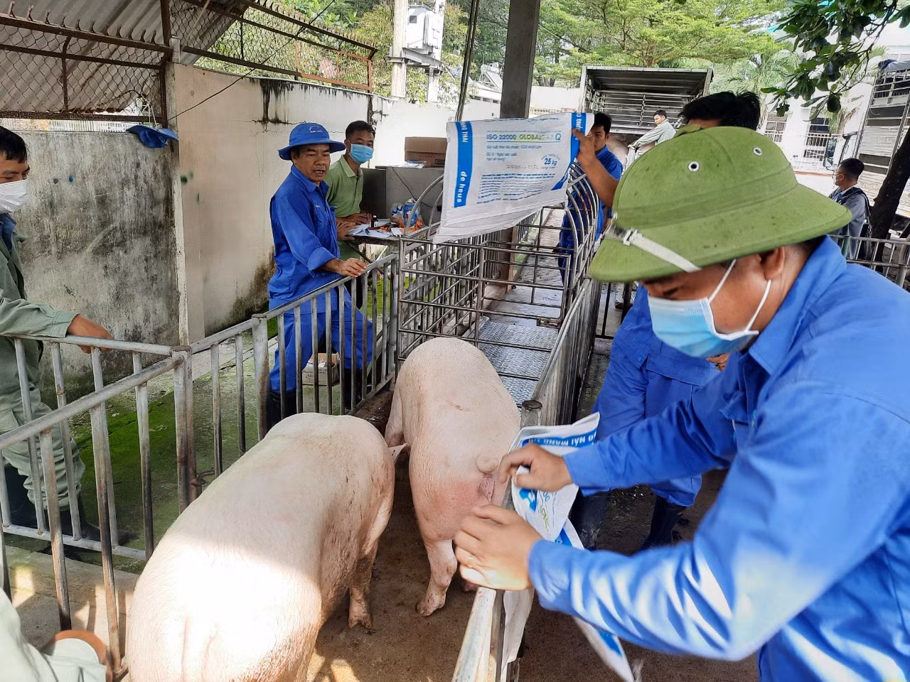 Chú thích ảnh