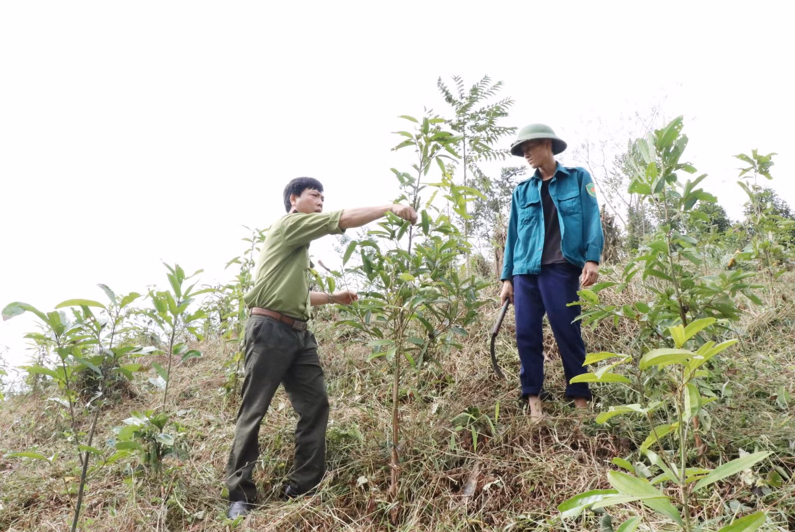 Chú thích ảnh