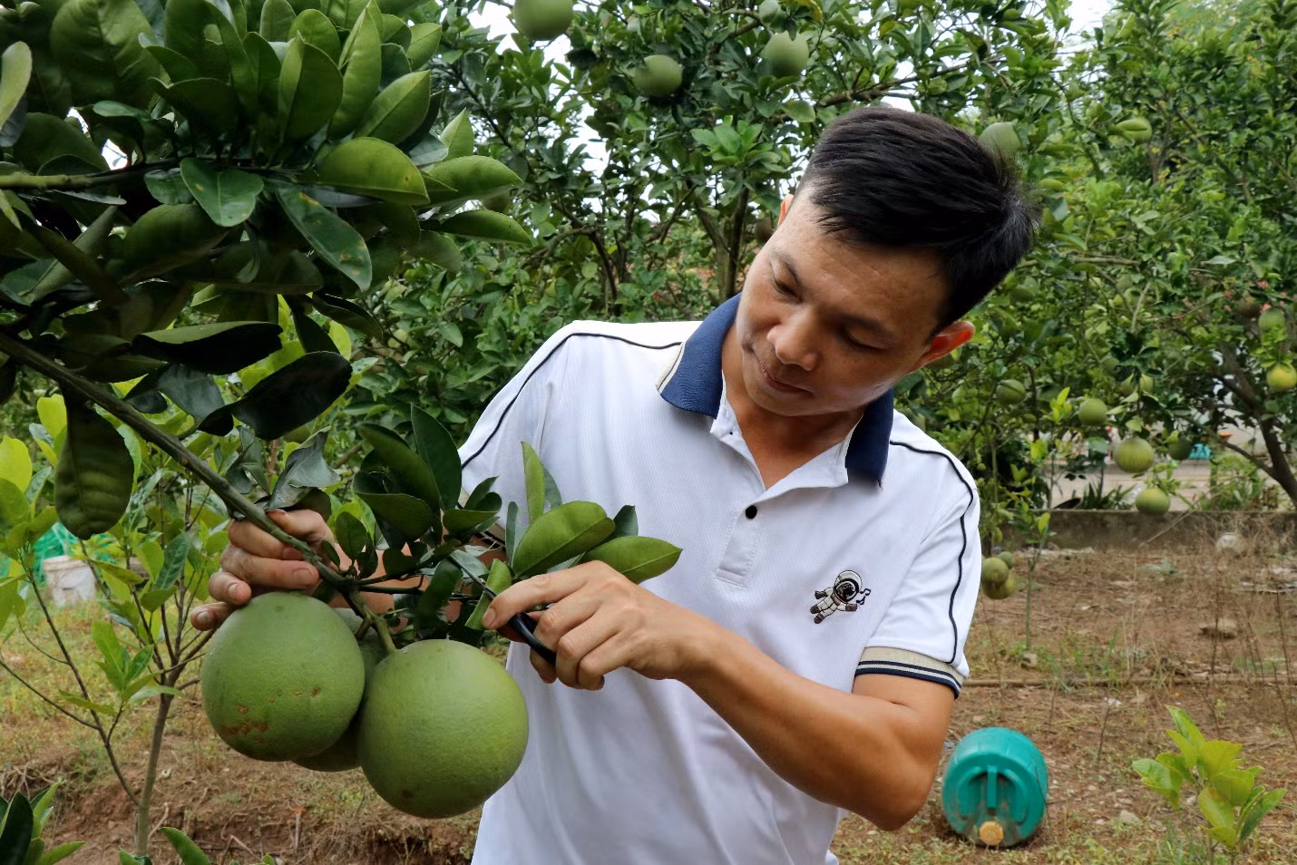 Chú thích ảnh
