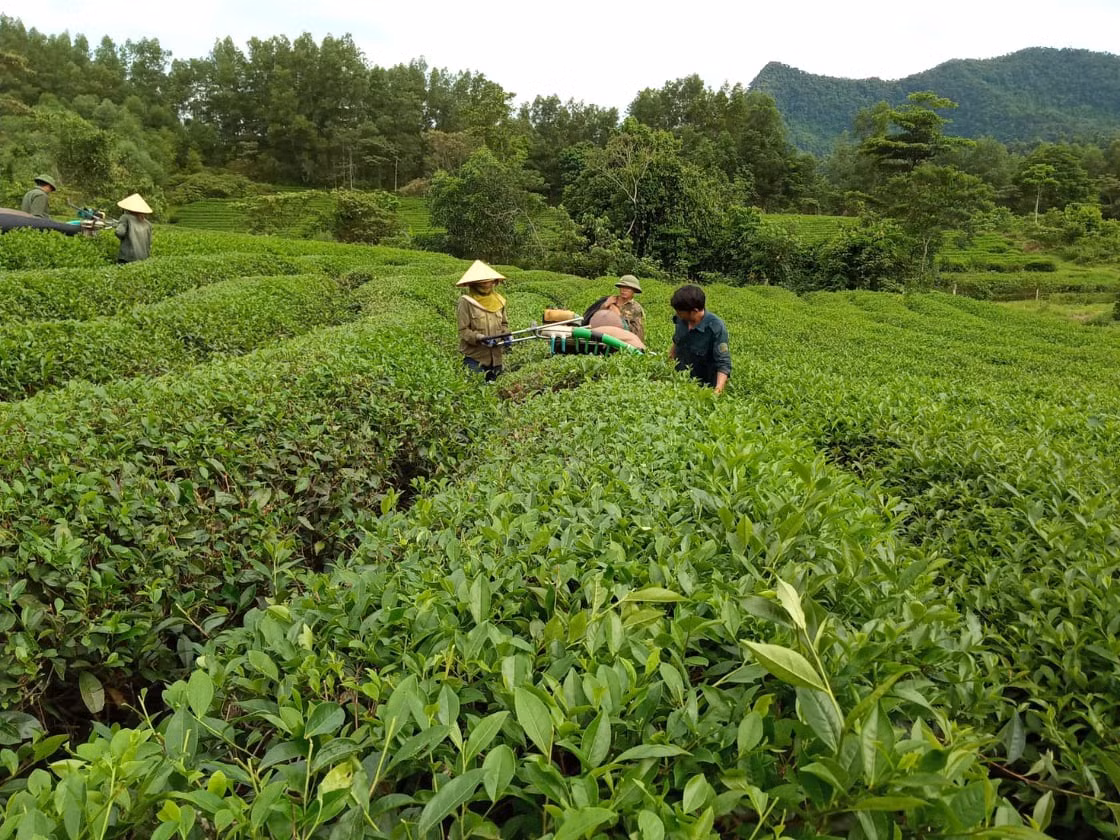 Chú thích ảnh