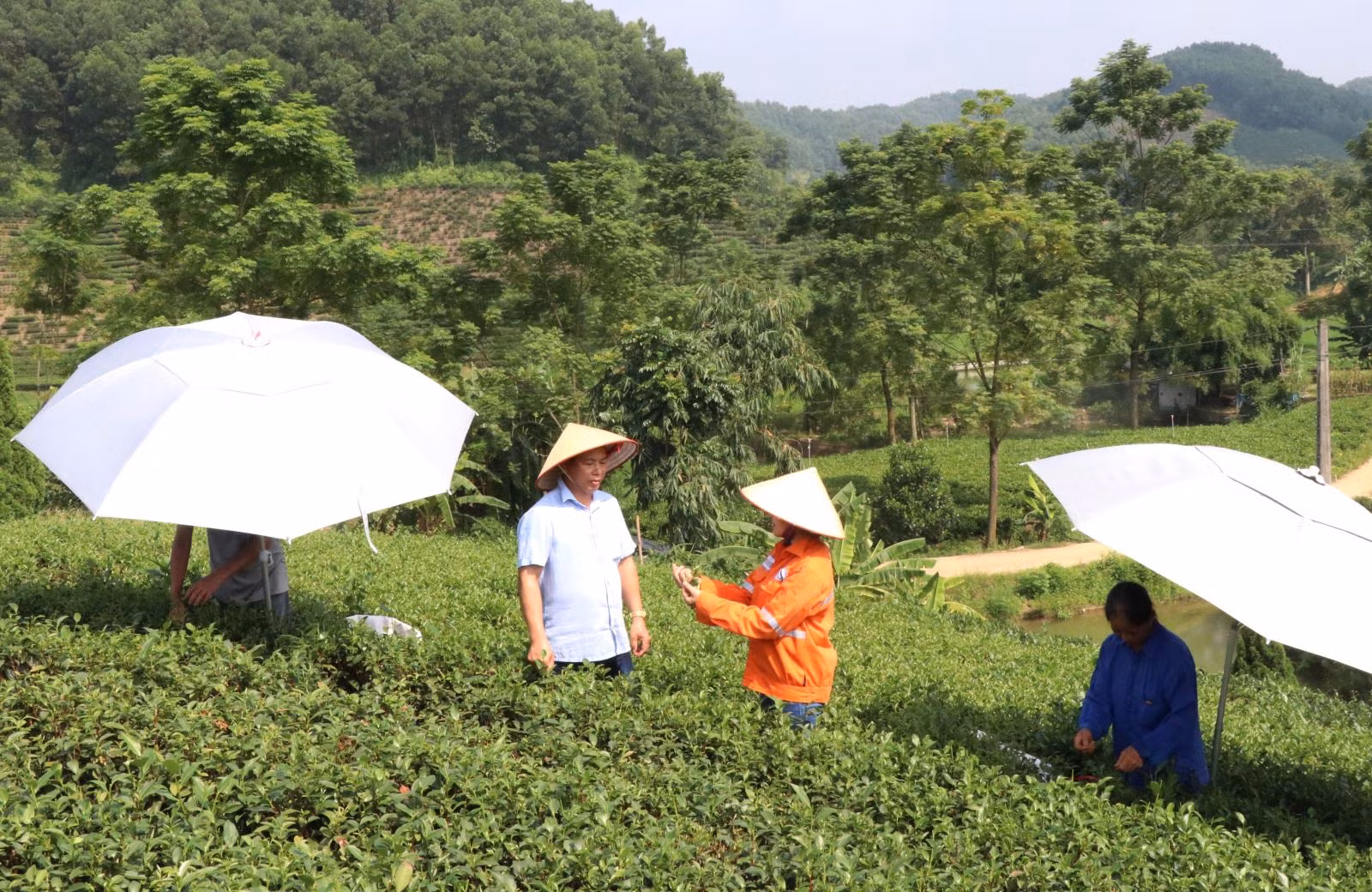 Chú thích ảnh