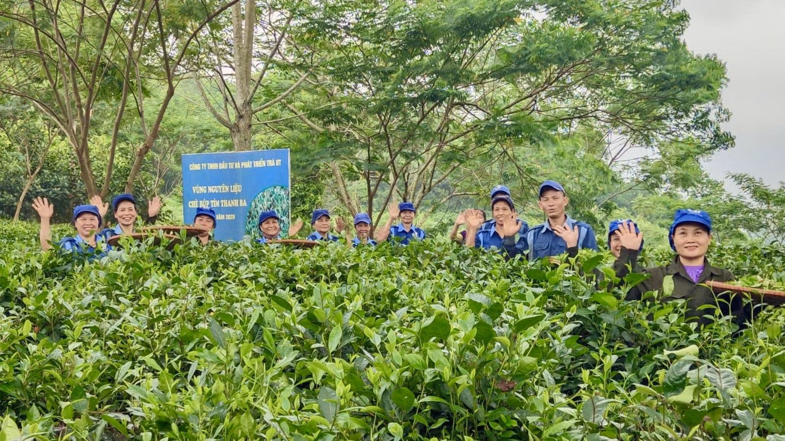 Chú thích ảnh
