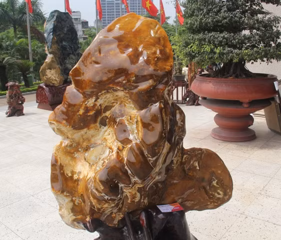 Triển lãm đá cảnh - Đá phong thủy Việt Nam ảnh 8