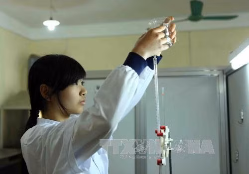 Sớm hoàn thiện dự thảo chương trình giáo dục phổ thông tổng thể ảnh 1