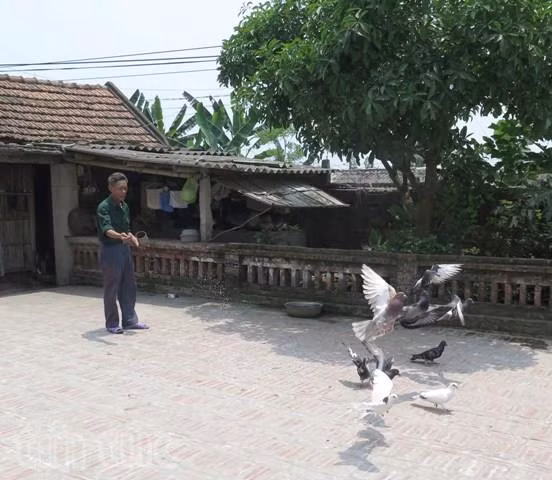 Gặp người cắm cờ trên nóc Bộ Tổng tham mưu Ngụy quyền ảnh 4