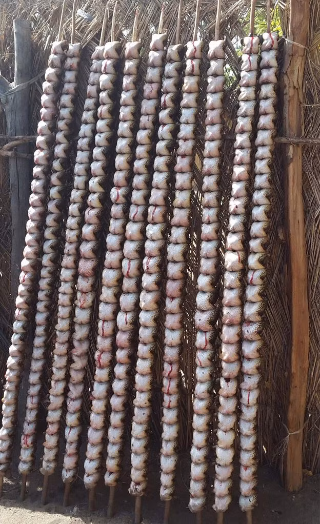 Món ếch hun khói ở Nigeria ảnh 4