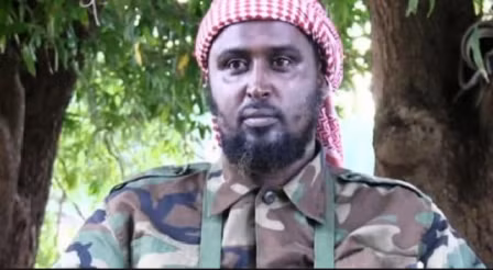 Mỹ liệt 2 thủ lĩnh al-Shabaab vào danh sách khủng bố ảnh 1