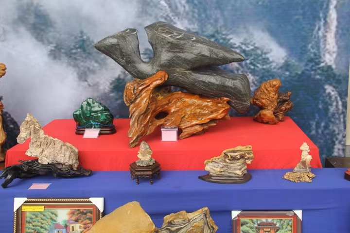 Triển lãm đá cảnh - Đá phong thủy Việt Nam ảnh 13