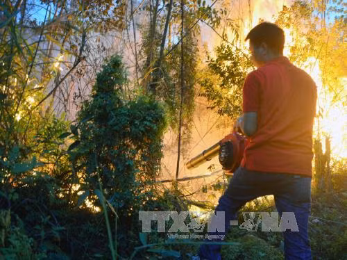 Bắc Giang: Cháy rừng, một người thiệt mạng ảnh 1