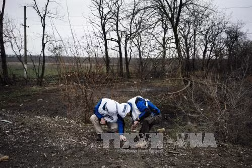Khả năng EU can thiệp quân sự vào Ukraine là 'ảo tưởng' ảnh 1