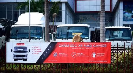 FUSO tri ân khách hàng bằng nhiều hoạt động hậu mãi ảnh 1