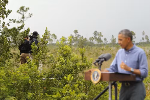Tổng thống Obama thăm Vườn quốc gia Everglades ảnh 11