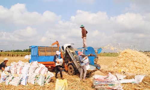 Nông thôn mới trên “đất thép” Xuân Lộc ảnh 1