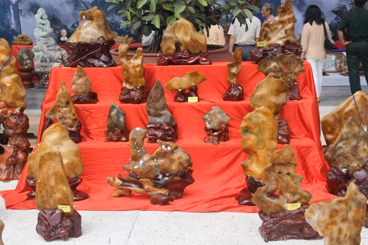 Triển lãm đá cảnh - Đá phong thủy Việt Nam ảnh 11