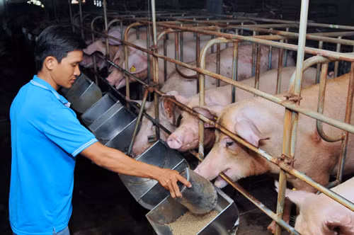 'Đất thép Thành đồng' Củ Chi 40 năm sau giải phóng ảnh 1