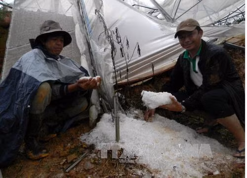 Mưa đá, lốc xoáy quét qua Đà Lạt ảnh 1