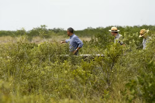 Tổng thống Obama thăm Vườn quốc gia Everglades ảnh 4