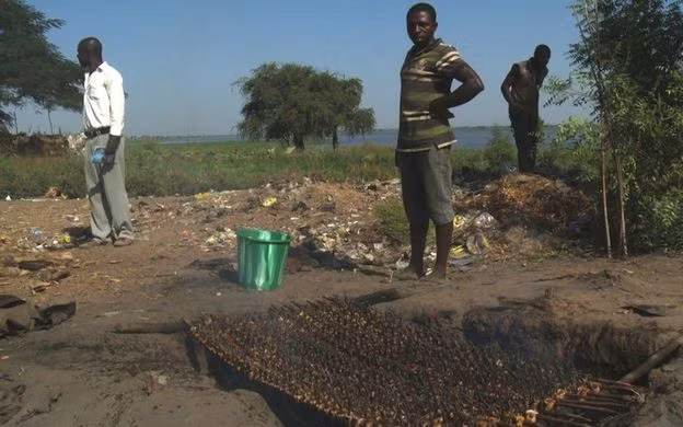 Món ếch hun khói ở Nigeria ảnh 5