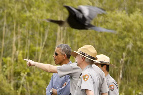Tổng thống Obama thăm Vườn quốc gia Everglades ảnh 3