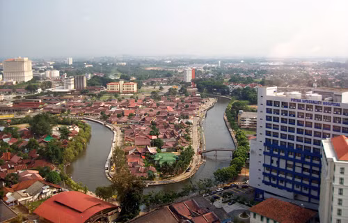 Công ty Malaysia bị phạt gần 1 triệu ringgit vì 'đốn cây' ảnh 1