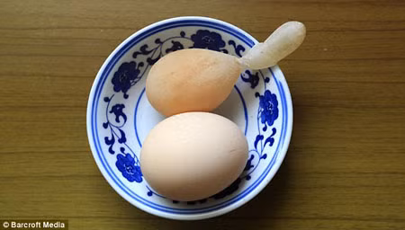 Trứng gà có... đuôi ảnh 4