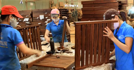 Khó xây dựng thương hiệu trong xuất khẩu lâm sản ảnh 1