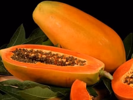 Tránh thai tự nhiên bằng thực phẩm ảnh 1