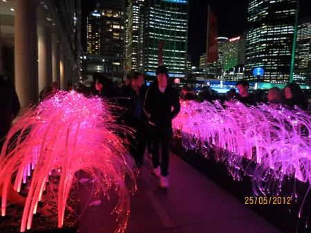 Lễ hội Ánh sáng Vivid Sydney ảnh 4