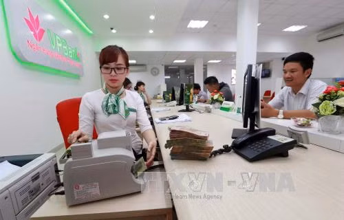 Làm nông nghiệp công nghệ cao, được vay vốn với lãi suất thấp ảnh 2