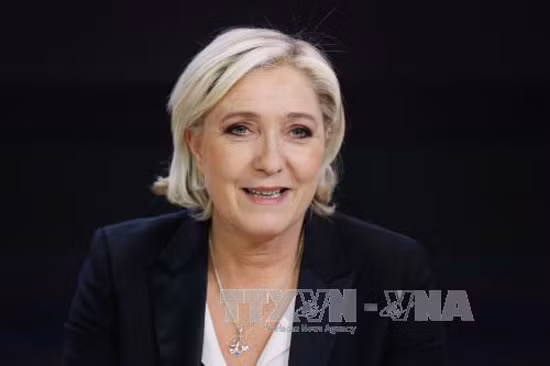 Đảng của ứng viên Tổng thống Pháp Le Pen thay đổi lãnh đạo lâm thời lần hai ảnh 1