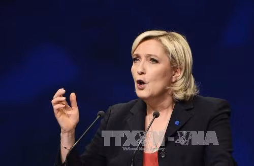 Israel chỉ trích ứng viên Tổng thống Pháp Le Pen khi phát ngôn về nạn diệt chủng ảnh 1
