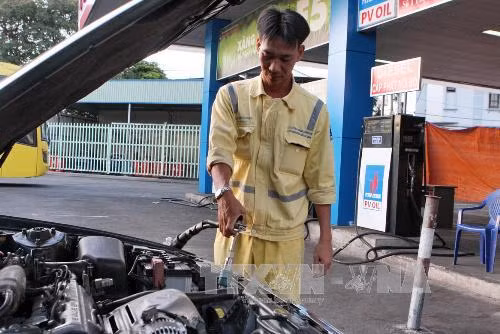 TP Hồ Chí Minh mở rộng tuyến xe buýt sử dụng khí thiên nhiên ảnh 1