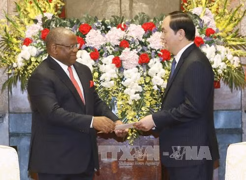 Chủ tịch nước Trần Đại Quang tiếp Bộ trưởng Ngoại giao Angola ảnh 2