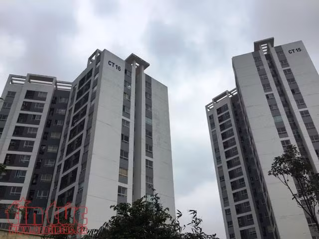 Kinh hoàng bọ gậy 'bơi lội' trong nước sinh hoạt ở khu đô thị mới ảnh 3