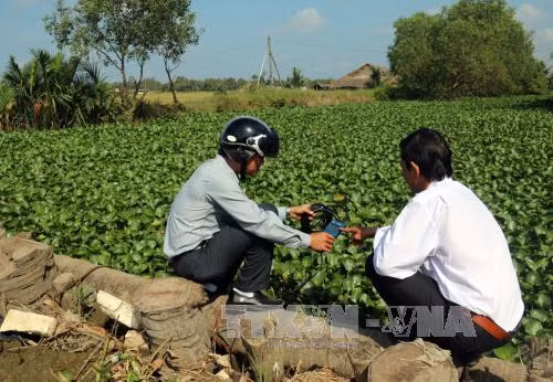 Đồng bằng sông Cửu Long: Hạn, mặn năm nay không gay gắt ảnh 2