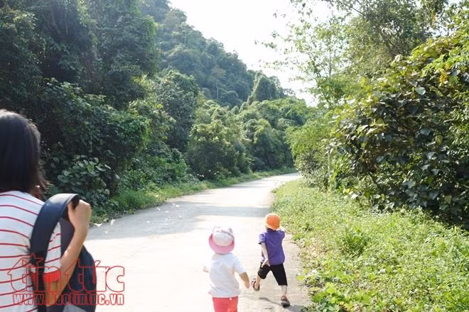 Ngỡ ngàng mùa bướm ở rừng Cúc Phương ảnh 4