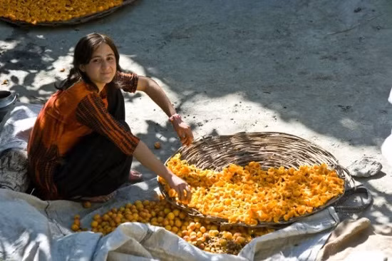 Bí mật sống khỏe, không ung thư, 60 tuổi vẫn có thể sinh con của người Hunza ảnh 4