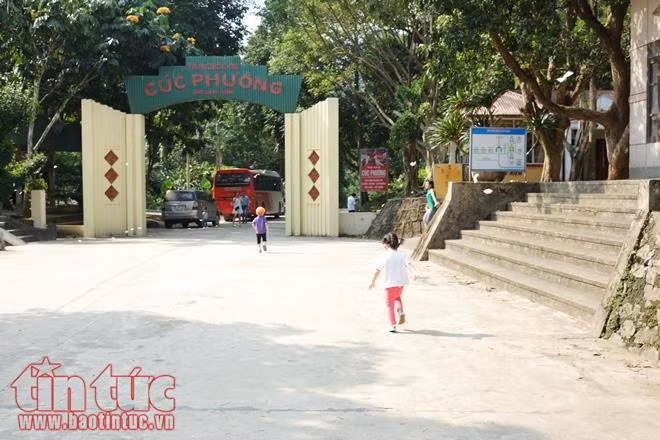 Ngỡ ngàng mùa bướm ở rừng Cúc Phương ảnh 1