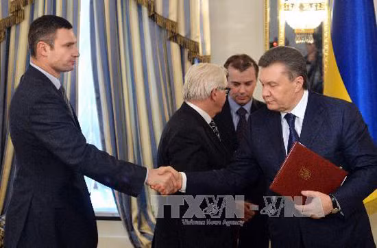 Ukraine tịch thu tài sản của chính quyền cựu Tổng thống Yanukovych ảnh 1