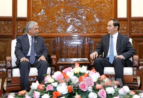 Việt Nam mong muốn Liên hợp quốc phát huy vai trò gìn giữ hòa bình ảnh 2