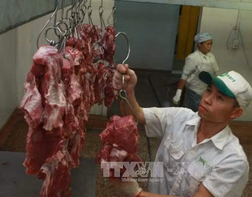 Gấp rút 'cứu' đàn lợn tồn trong dân ảnh 1
