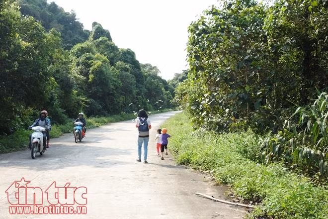 Ngỡ ngàng mùa bướm ở rừng Cúc Phương ảnh 6