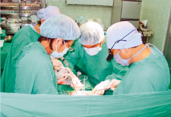 Thầm lặng đi xin sự sống từ cái chết ảnh 2
