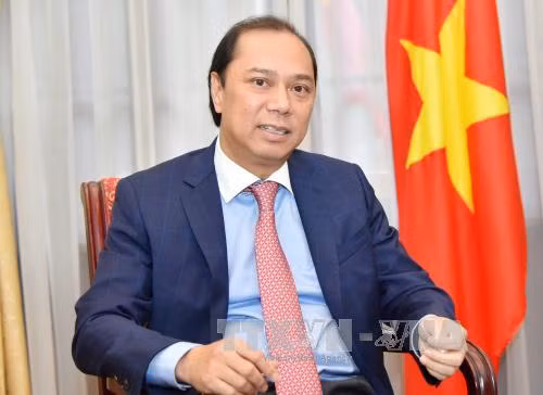 Việt Nam tham dự cuộc họp các quan chức cấp cao ASEAN tại Philippinnes ảnh 1